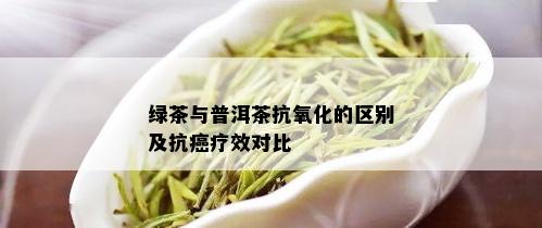 绿茶与普洱茶抗氧化的区别及抗癌疗效对比