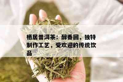 栖居普洱茶：醇香回，独特制作工艺，受欢迎的传统饮品