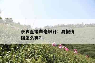 茶农直销白毫银针：真假价格怎么样？