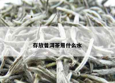 存放普洱茶用什么水