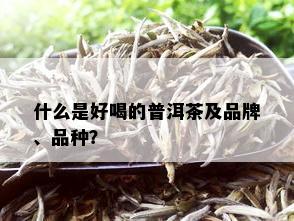 什么是好喝的普洱茶及品牌、品种？