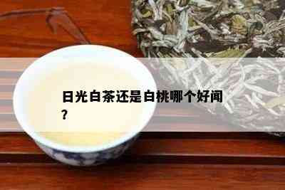 日光白茶还是白桃哪个好闻？