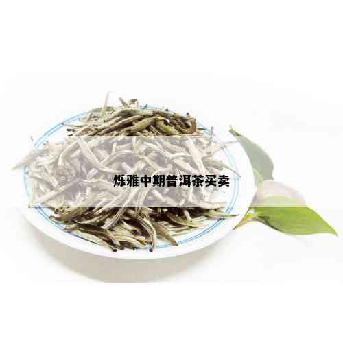 烁雅中期普洱茶买卖