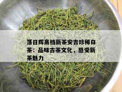 落日辉高档新茶安吉珍稀白茶：品味古茶文化，感受新茶魅力