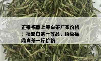 正宗福鼎上等白茶厂家价格：福鼎白茶一等品，顶级福鼎白茶一斤价格