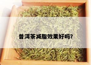 普洱茶减脂效果好吗？