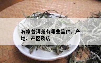 石家普洱茶有哪些品种、产地、产区及店