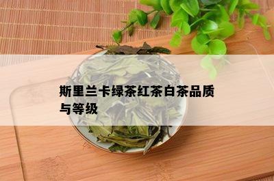 斯里兰卡绿茶红茶白茶品质与等级