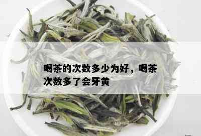 喝茶的次数多少为好，喝茶次数多了会牙黄