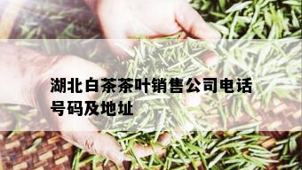 湖北白茶茶叶销售公司电话号码及地址