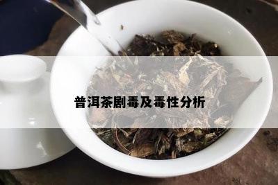 普洱茶剧及性分析