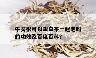 牛蒡根可以跟白茶一起泡吗的功效及百度百科？