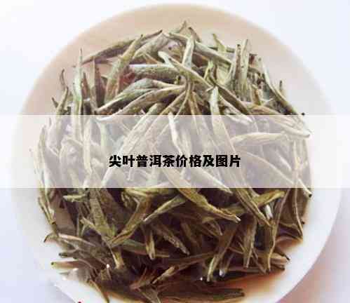 尖叶普洱茶价格及图片