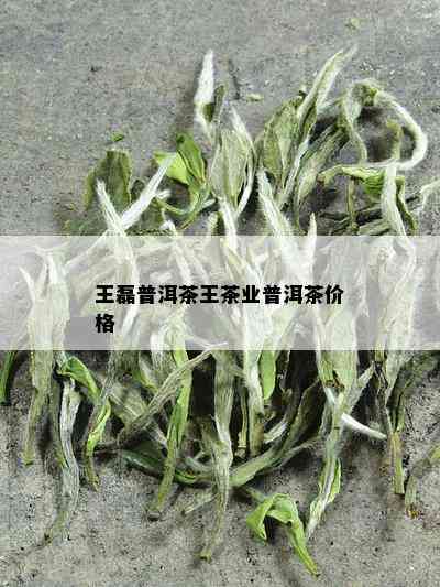 王磊普洱茶王茶业普洱茶价格