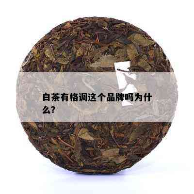 白茶有格调这个品牌吗为什么？