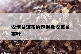 安炳普洱茶的区别及安夷普茶叶