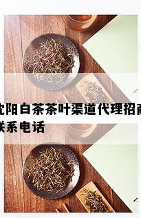 沈阳白茶茶叶渠道代理招商联系电话