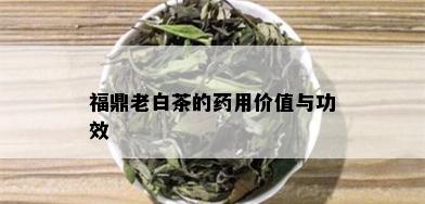 福鼎老白茶的用价值与功效