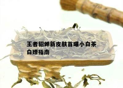 王者貂蝉新皮肤首曝小白茶白嫖指南