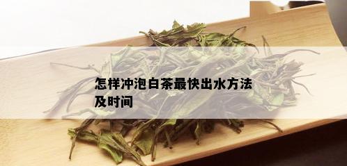 怎样冲泡白茶最快出水方法及时间