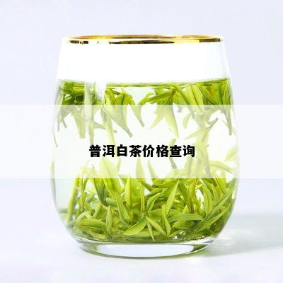 普洱白茶价格查询