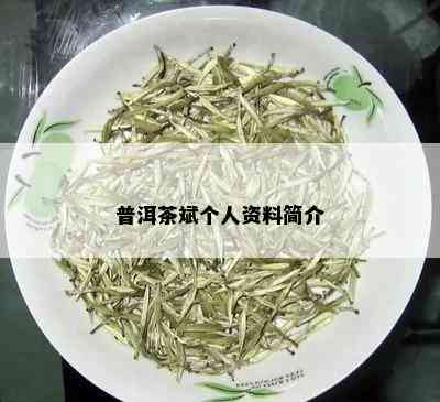 普洱茶斌个人资料简介