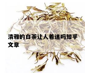 清雅的白茶让人着迷吗知乎文章