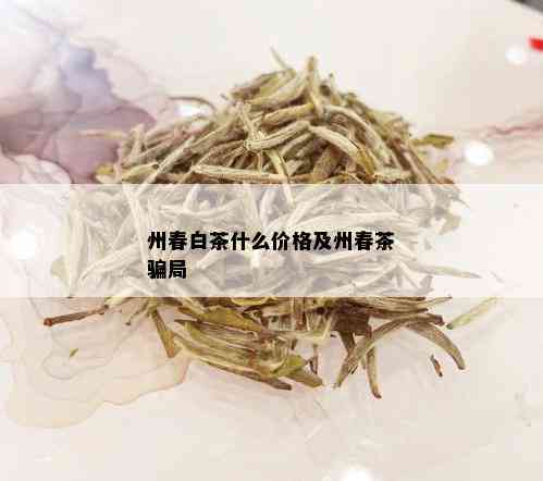 州春白茶什么价格及州春茶骗局