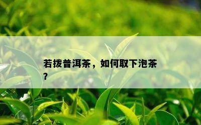 若拨普洱茶，如何取下泡茶？