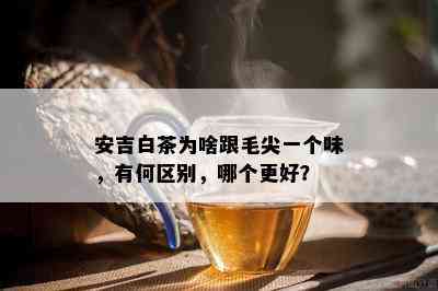 安吉白茶为啥跟毛尖一个味，有何区别，哪个更好？