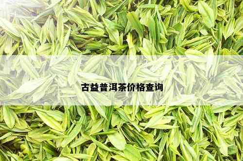 古益普洱茶价格查询