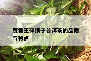 赛君王碎银子普洱茶的品质与特点