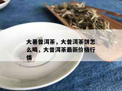 大暑普洱茶，大普洱茶饼怎么喝，大普洱茶最新价格行情