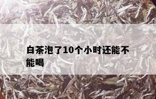 白茶泡了10个小时还能不能喝