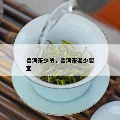 普洱茶少爷，普洱茶老少皆宜