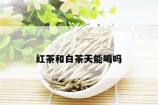 红茶和白茶天能喝吗