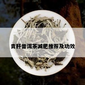 青肝普洱茶减肥推荐及功效