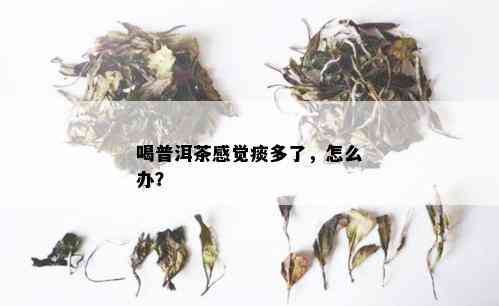 喝普洱茶感觉痰多了，怎么办？