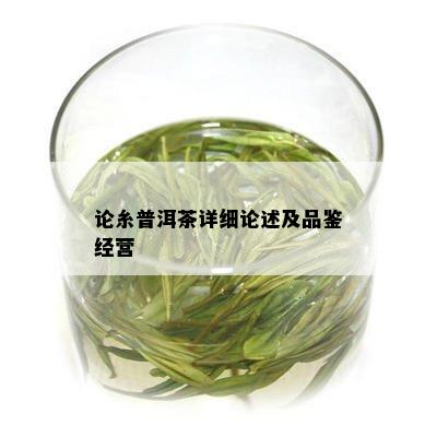 论糸普洱茶详细论述及品鉴经营