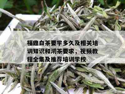 福鼎白茶要学多久及相关培训知识和沏茶要求，视频教程全集及推荐培训学校