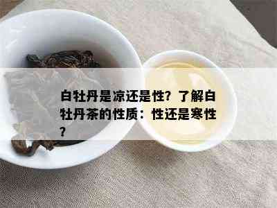 白牡丹是凉还是性？了解白牡丹茶的性质：性还是寒性？