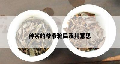 种茶的爷爷骗局及其意思