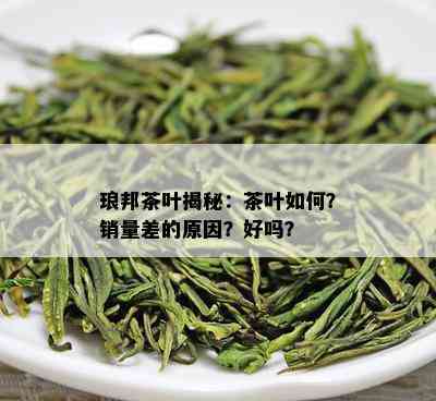 琅邦茶叶揭秘：茶叶如何？销量差的原因？好吗？