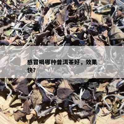 感冒喝哪种普洱茶好，效果快？