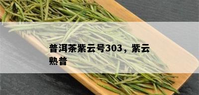 普洱茶紫云号303，紫云熟普