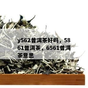 y562普洱茶好吗，5861普洱茶，6561普洱茶意思