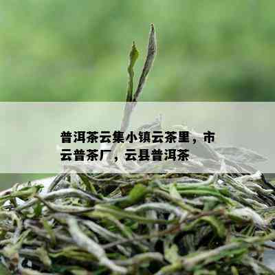 普洱茶云集小镇云茶里，市云普茶厂，云县普洱茶