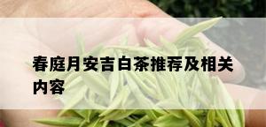 春庭月安吉白茶推荐及相关内容