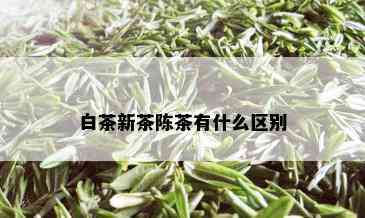 白茶新茶陈茶有什么区别