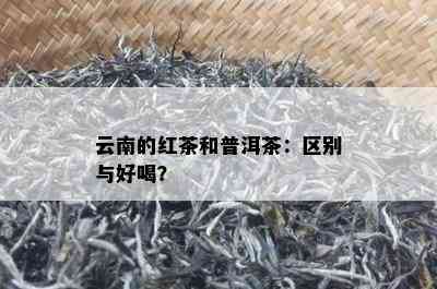 云南的红茶和普洱茶：区别与好喝？